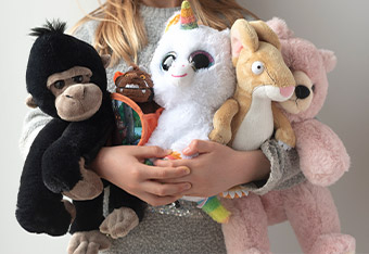 Soft Toys