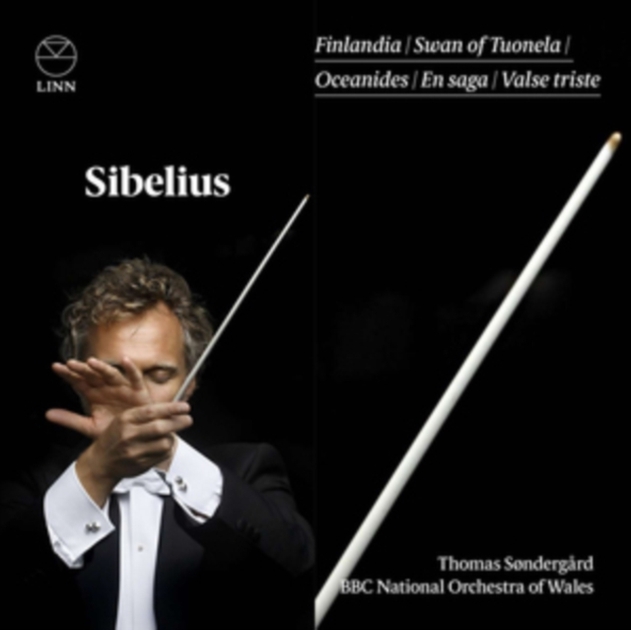 Sibelius: Finlandia/Swan of Tuonela/Oceanides/En Saga/...