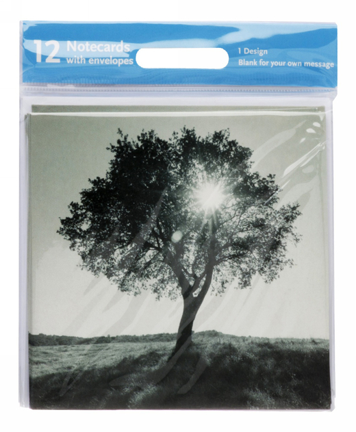 Image of Black and White Photo Tree Notecards (Pack of 12)