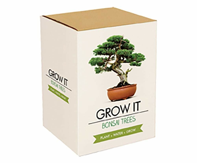 Image of Bonsai Grow It