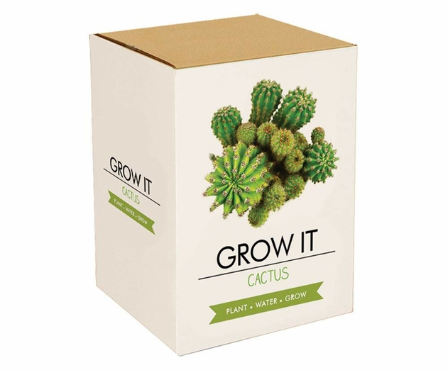 Image of Cactus Grow It