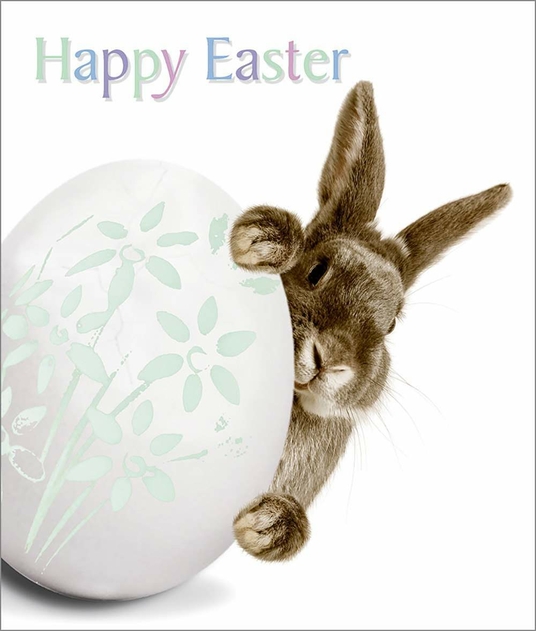 Image of Portfolio Bunny peeping around a giant egg Easter Card