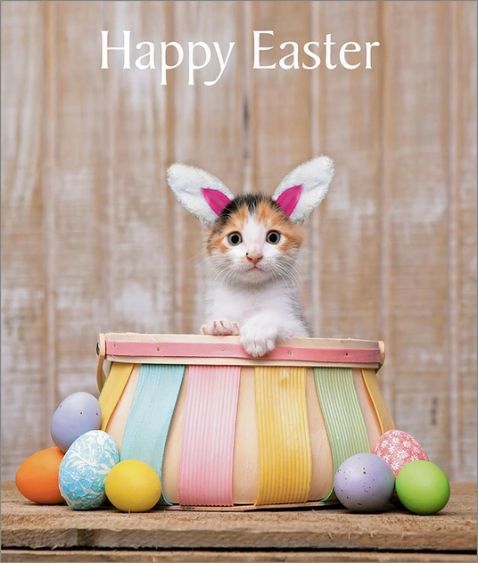 Image of Portfolio Kitten With Bunny Ears Easter Card
