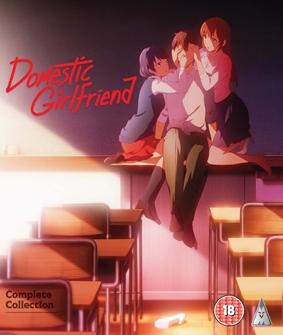 Image of Domestic Girlfriend