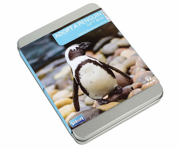 Image of Adopt A Penguin Gift Set