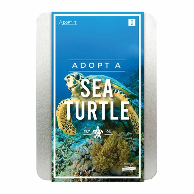Image of Adopt A Sea Turtle Gift Set