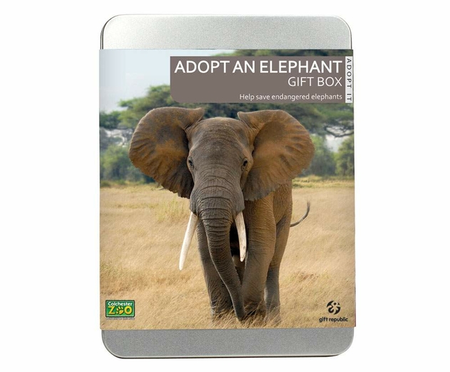 Image of Adopt An Elephant Gift Set