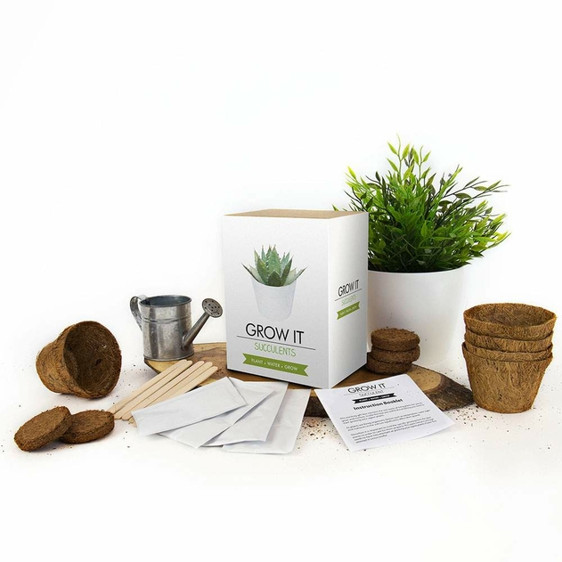 Image of Succulent Grow It Kit