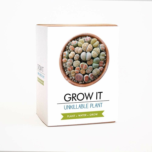 Image of Unkillable Grow It Kit