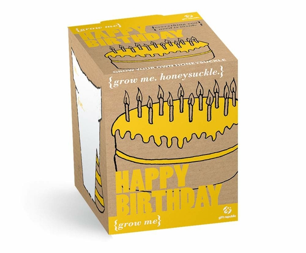 Image of Happy Birthday Grow Me Kit