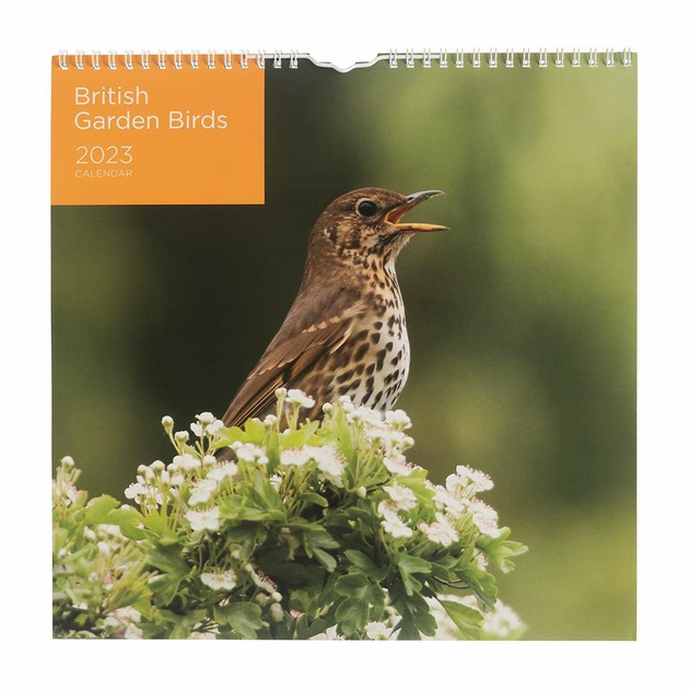 Image of WHSmith 2023 British Garden Bird Square Calendar