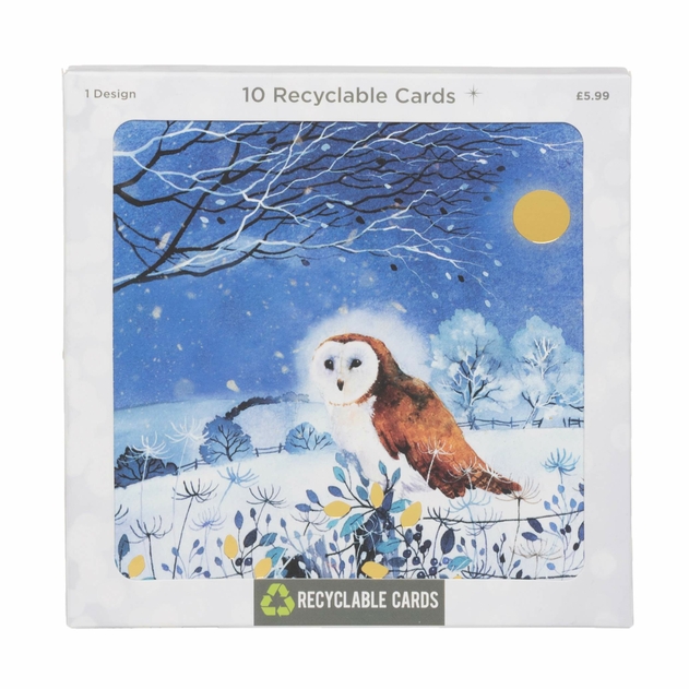 Image of WHSmith Recyclable Woodland Owl Christmas Card Pack of 10