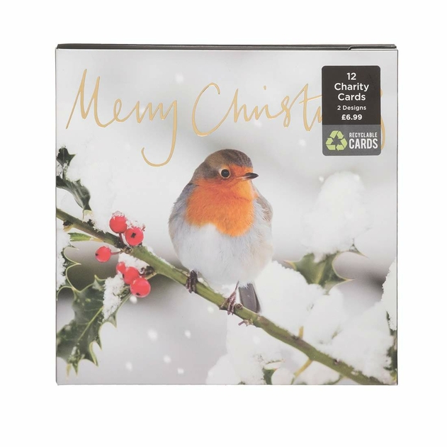 Image of WHSmith Robins On Branch Recyclable Christmas Card Pack of 12
