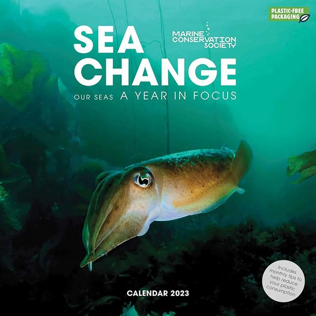 Image of 2024 Sea Change Premium Square Calendar