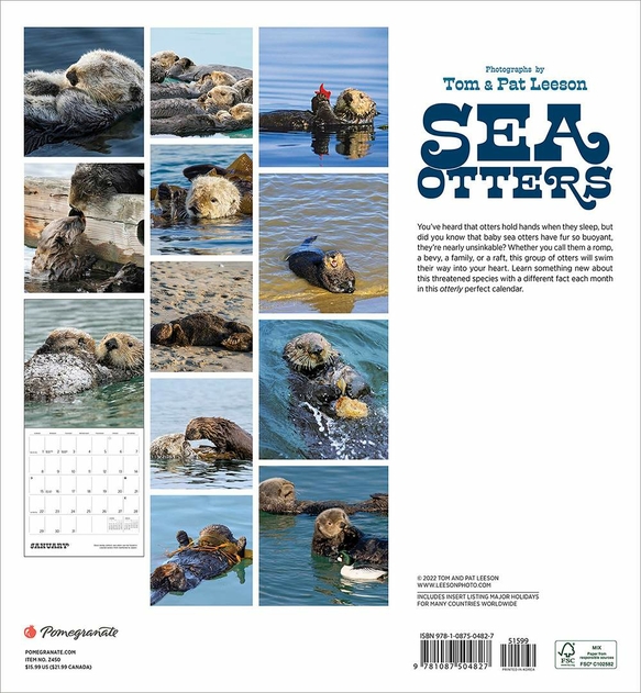 Image of Pomegranate Sea Otters: Photographs by Tom and Pat Leeson 2023 Wall Calendar