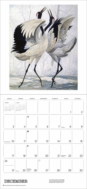 Image of Pomegranate A Birder's View: Paintings by John A. Ruthven 2023 Wall Calendar