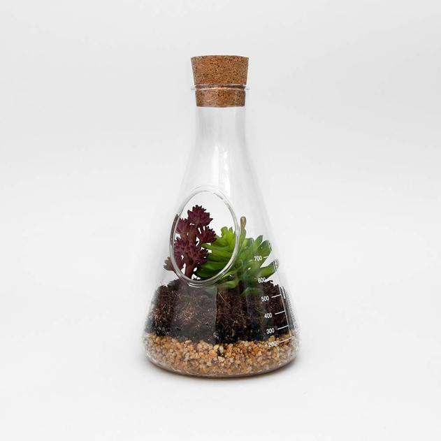 Image of Chemistry Terrarium