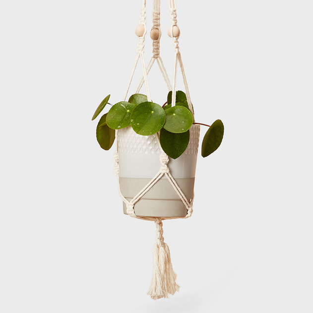 Image of Calm Club Hang Time Pot Macrame Kit