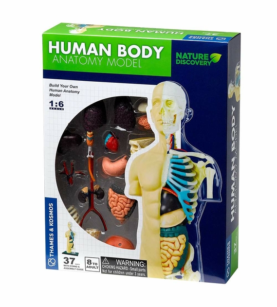 Image of Thames and Kosmos Nature Discovery Human Body Anatomy