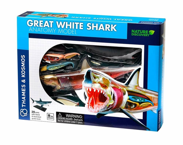 Image of Thames and Kosmos Nature Discovery Great White Shark Anatomy
