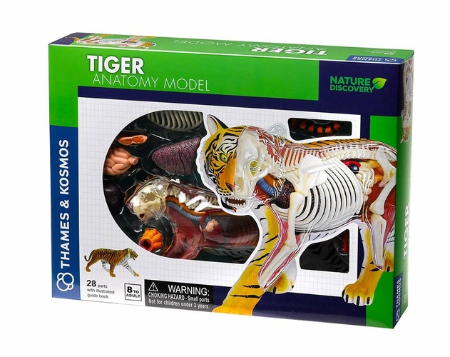 Image of Thames and Kosmos Nature Discovery Tiger Anatomy