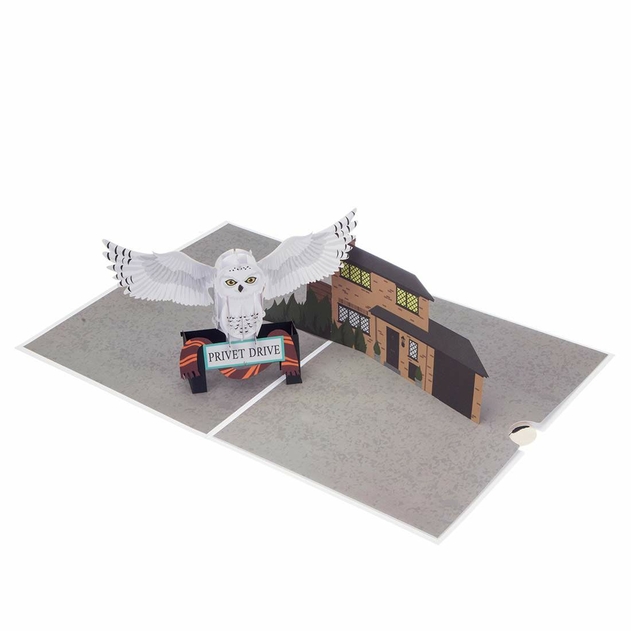 Image of Harry Potter Hedwig Pop Up Birthday Card
