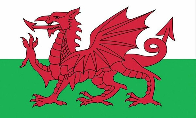 Image of 76 X 50cm WELSH FLAG