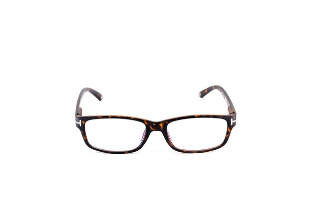 Image of Aptica Taj Mahal Reading Glasses +2.00