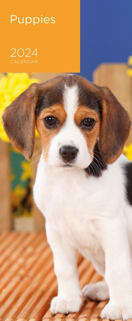 Image of WHSmith Slim 2024 Puppies Mini Calendar