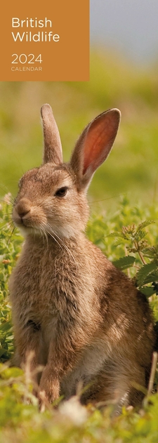 Image of WHSmith British Wildlife Photo Slim 2024 Calendar