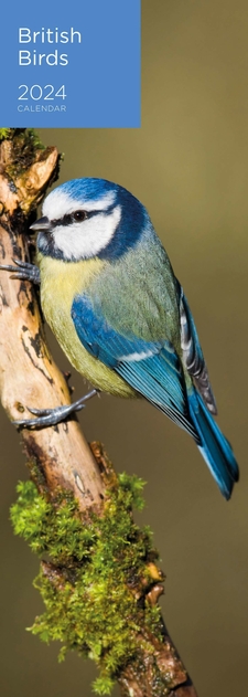 Image of WHSmith 2024 British Birds Photographic Slim Calendar