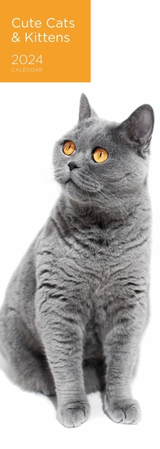 Image of WHSmith Cute Cats and Kittens Slim 2024 Calendar