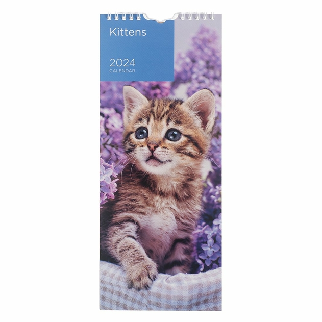 Image of WHSmith Kittens 2024 Calendar