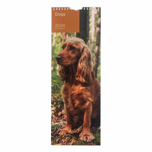 Image of WHSmith Dogs 2024 Calendar
