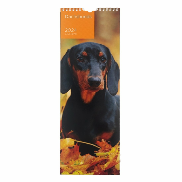 Image of WHSmith Daschunds 2024 Calendar