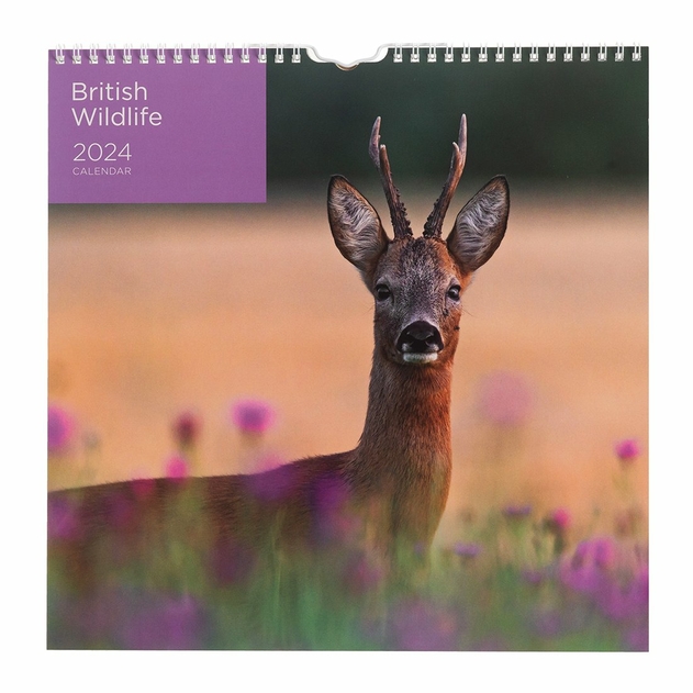 Image of WHSmith British Wildlife Square 2024 Calendar