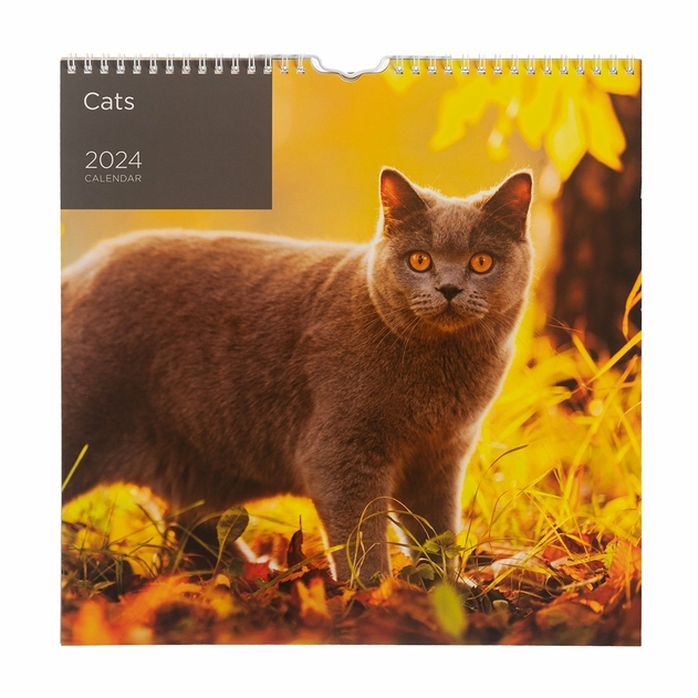 Image of WHSmith Cats 2024 Calendar