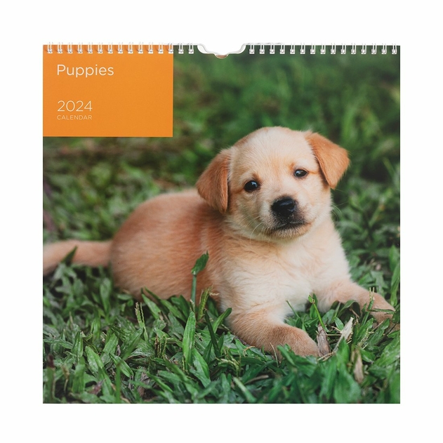 Image of WHSmith Puppies 2024 Calendar