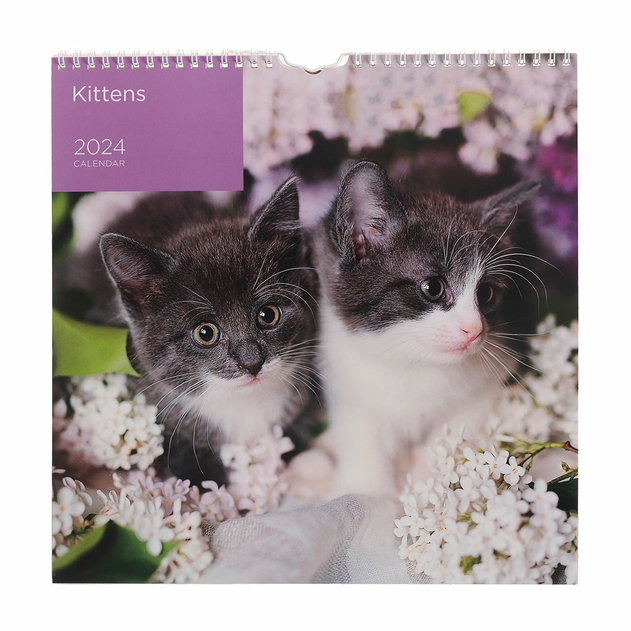 Image of WHSmith Kittens Square 2024 Calendar