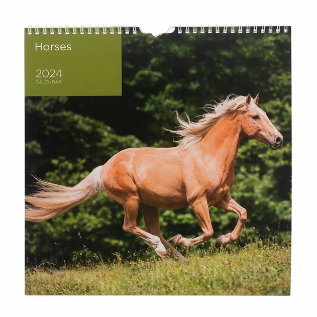 Image of WHSmith Horses 2024 Calendar