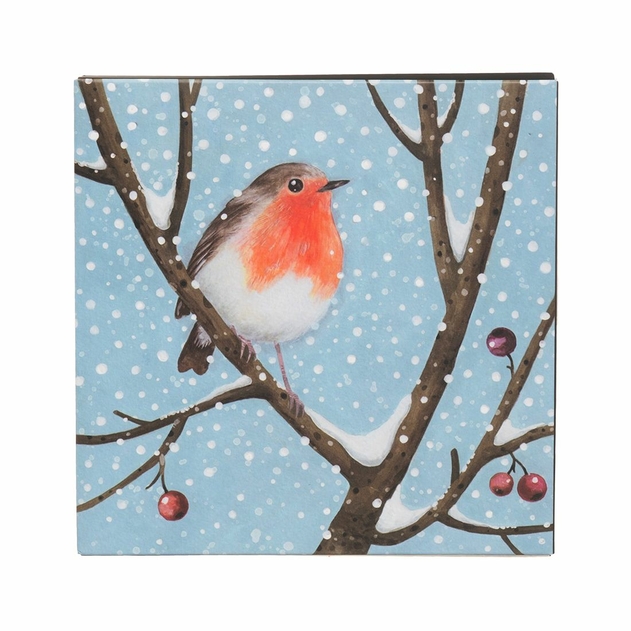 Image of WHSmith Single Robin 12 Pack Boxed Christmas Cards