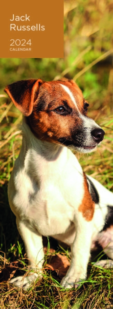 Image of WHSmith Jack Russells 2024 Calendar