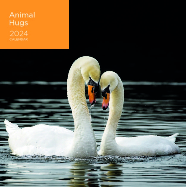 WHSmith Animal Hugs 2024 Calendar