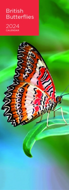 Image of WHSmith British Butterflies 2024 Calendar