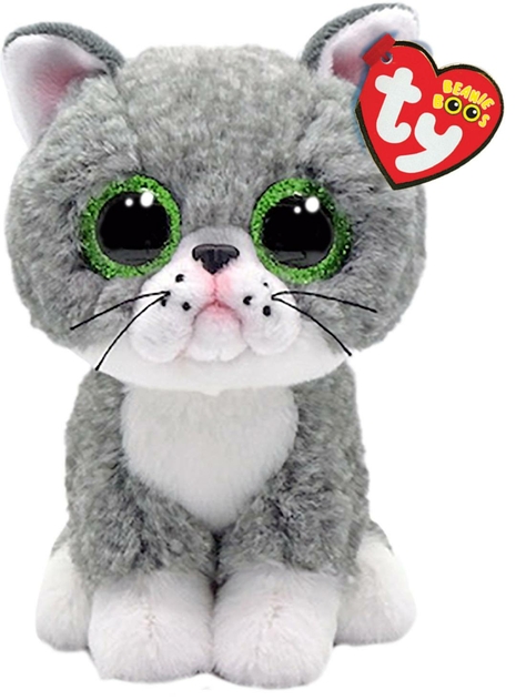 Image of Ty Fergus Cat