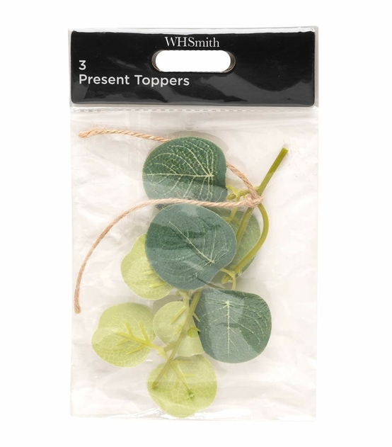 Image of WHSmith Eucalyptus Present Toppers