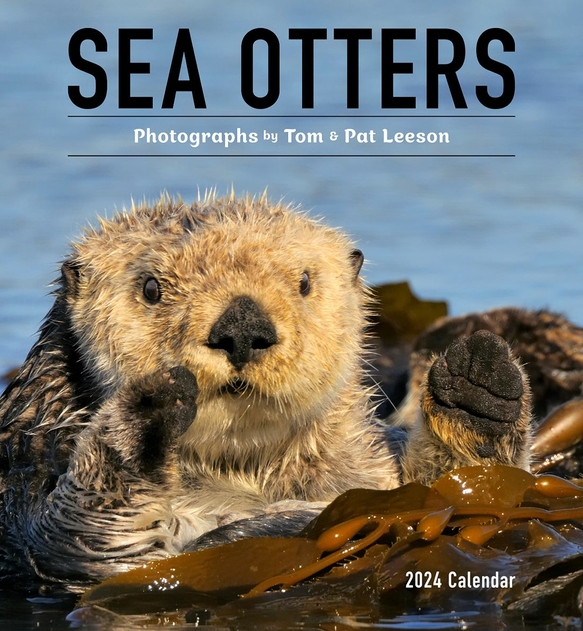 Image of Tom & Pat Leeson Sea Otters 2024 Calendar