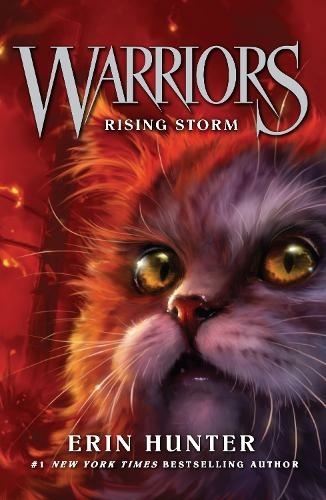 Rising Storm: (Warriors Book 4)