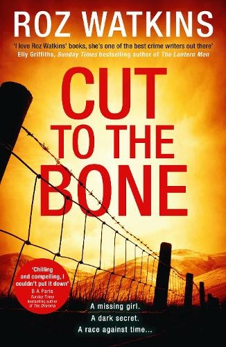 Cut to the Bone: (A DI Meg Dalton thriller Book 3)