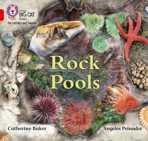 Rock Pools: Band 02b/Red B (Collins Big Cat Phonics for Letters and Sounds)